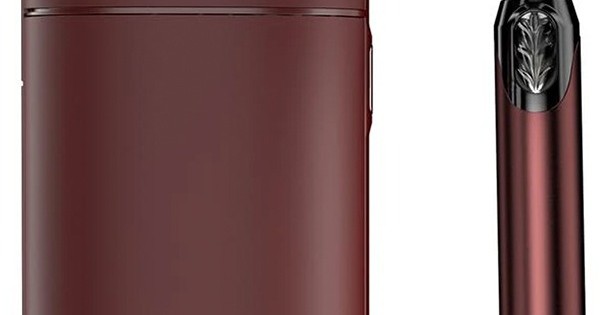 VapX Kit ART Pod 300mAh With Charging Case 800mah