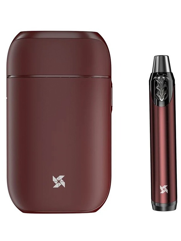 VapX Kit ART Pod 300mAh With Charging Case 800mah